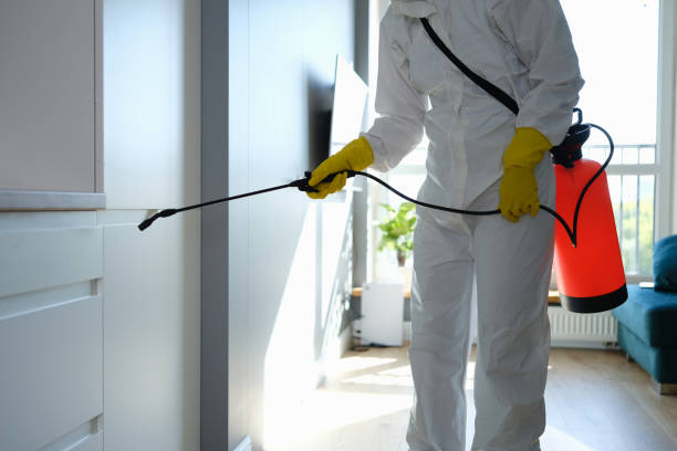 Mold Removal Process in Kankakee, IL