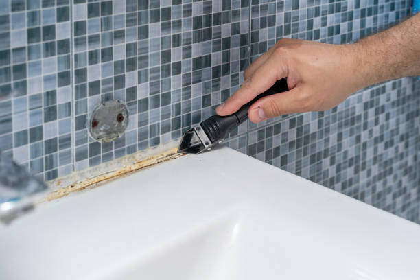 Best Professional Mold Removal  in Kankakee, IL